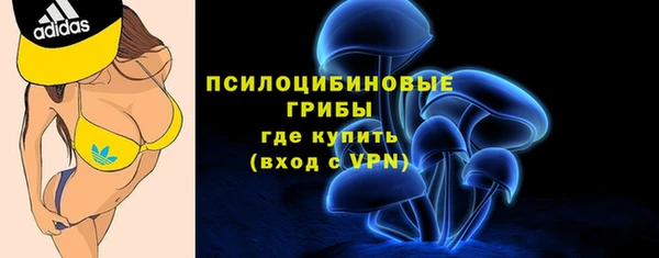 PSILOCYBIN Абинск