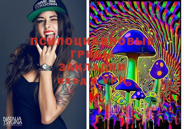 PSILOCYBIN Абинск